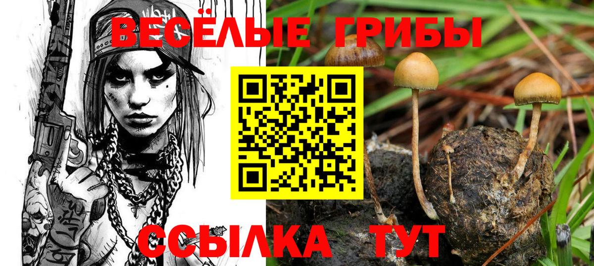 Галлюциногенные грибы прущие грибы Великие Луки